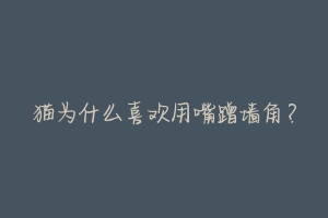 猫为什么喜欢用嘴蹭墙角?-动物百科