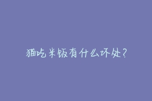 猫吃米饭有什么坏处?-动物百科