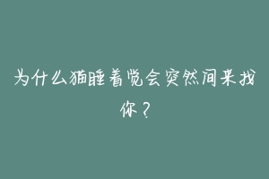 为什么猫睡着觉会突然间来找你?-动物百科