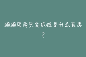猫猫用两只前爪推是什么意思?-动物百科