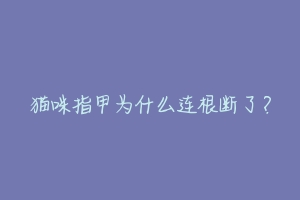 猫咪指甲为什么连根断了?-动物百科