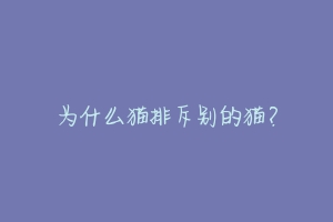 为什么猫排斥别的猫?-动物百科
