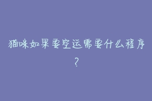猫咪如果要空运需要什么程序?-动物百科
