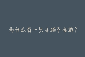 为什么有一只小猫不合群?-动物百科
