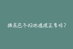 猫尾巴不扫地摇摆正常吗？-动物百科