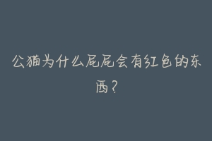 公猫为什么屁屁会有红色的东西？-动物百科