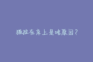猫拉在床上是啥原因?-动物百科