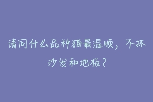 请问什么品种猫最温顺,不抓沙发和地板?-动物百科