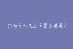 猫为什么晚上不愿意进屋?-动物百科