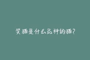 笑猫是什么品种的猫?-动物百科