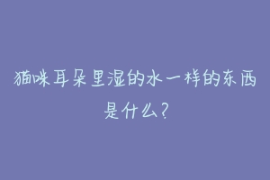 猫咪耳朵里湿的水一样的东西是什么?-动物百科