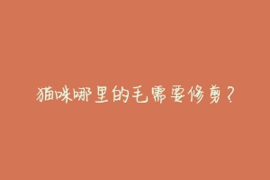 猫咪哪里的毛需要修剪?-动物百科