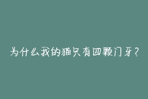 为什么我的猫只有四颗门牙?-动物百科