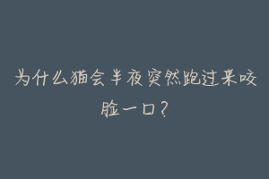 为什么猫会半夜突然跑过来咬脸一口?-动物百科