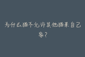 为什么猫不允许其他猫来自己家?-动物百科