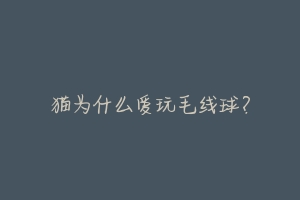 猫为什么爱玩毛线球?-动物百科