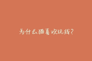 为什么猫喜欢玩线?-动物百科