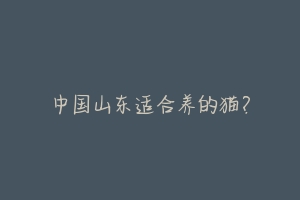中国山东适合养的猫?-动物百科