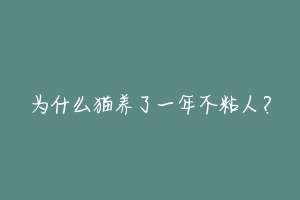 为什么猫养了一年不粘人?-动物百科