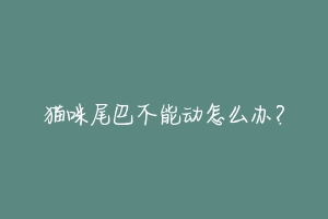 猫咪尾巴不能动怎么办?-动物百科