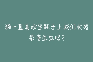 猫一直喜欢坐鞋子上我们会感染寄生虫吗?-动物百科