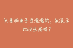 只要猫鼻子是湿湿的,就表示她没生病吗?-动物百科