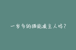 一岁多的猫能换主人吗?-动物百科