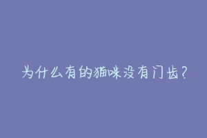 为什么有的猫咪没有门齿?-动物百科