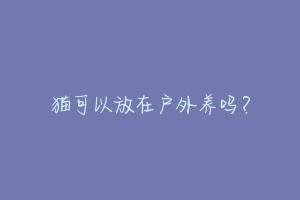 猫可以放在户外养吗?-动物百科