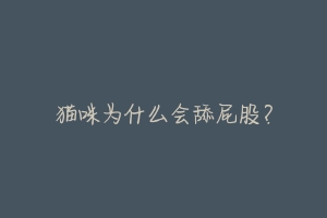 猫咪为什么会舔屁股?-动物百科
