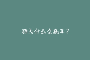 猫为什么会挠车?-动物百科