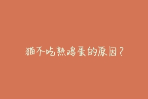 猫不吃熟鸡蛋的原因?-动物百科