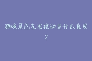 猫咪尾巴左右摆动是什么意思?-动物百科