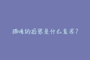 猫咪的报恩是什么意思?-动物百科