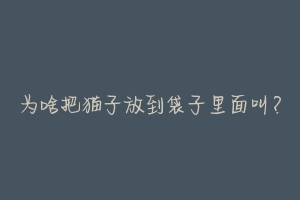 为啥把猫子放到袋子里面叫?-动物百科