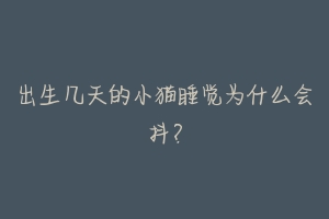 出生几天的小猫睡觉为什么会抖?-动物百科