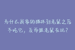 为什么我家的猫抓到老鼠之后不吃它,反而跟老鼠在玩?-动物百科