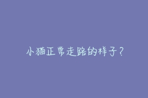 小猫正常走路的样子?-动物百科