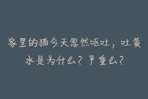 家里的猫今天忽然呕吐,吐黄水是为什么?严重么?-动物百科