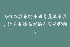 为什么我家的小猫总是跟着我,还总是蹭着我的手或是脚啊?-动物百科