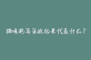 猫咪把耳朵收起来代表什么?-动物百科