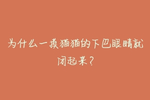 为什么一摸猫猫的下巴眼睛就闭起来?-动物百科