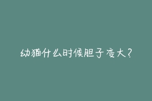 幼猫什么时候胆子变大?-动物百科