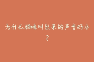 为什么猫咪叫出来的声音好小?-动物百科