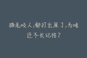 猫老咬人,都打出屎了,为啥还不长记性?-动物百科