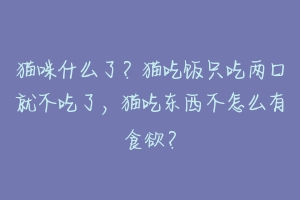 猫咪什么了?猫吃饭只吃两口就不吃了,猫吃东西不怎么有食欲?-动物百科