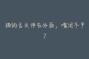 猫的舌头伸在外面,嘴闭不严?-动物百科