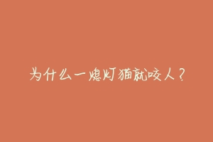 为什么一熄灯猫就咬人?-动物百科