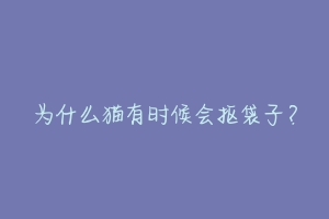 为什么猫有时候会抠袋子?-动物百科