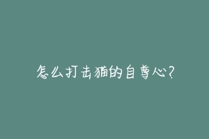 怎么打击猫的自尊心?-动物百科